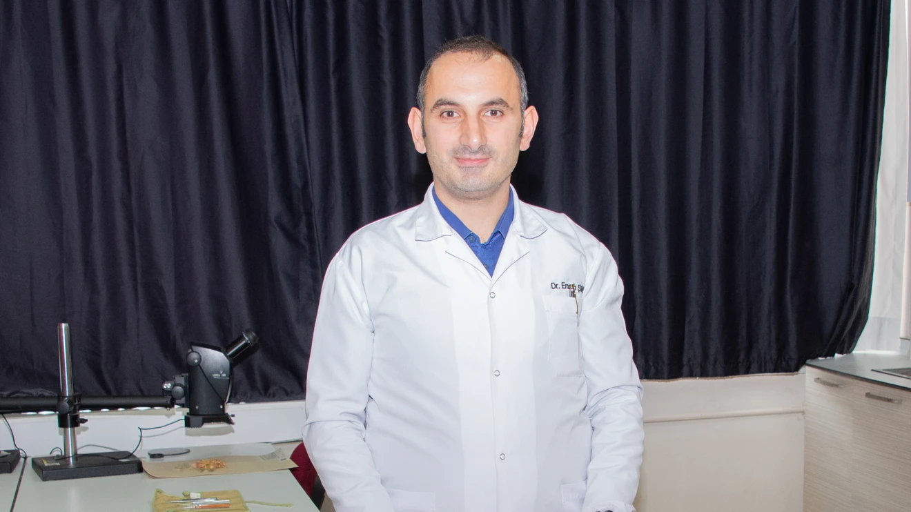 Türkiye’deki peygamber çiçekleri üzerine yeni proje